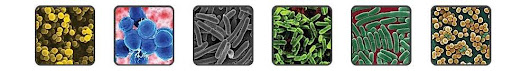 weclean image